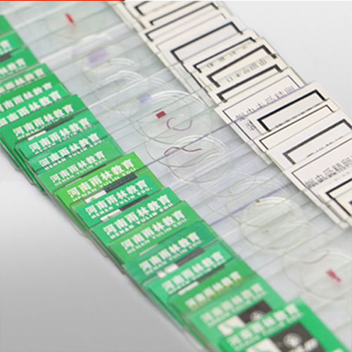 中藥飲片標(biāo)本